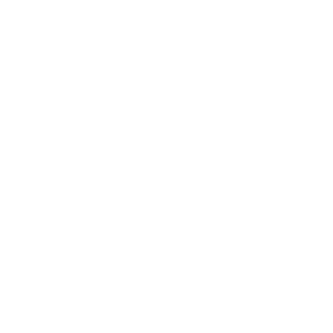 Unternehmensführung